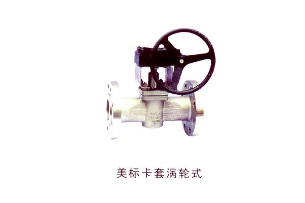 美標(biāo)卡套渦輪式旋塞閥